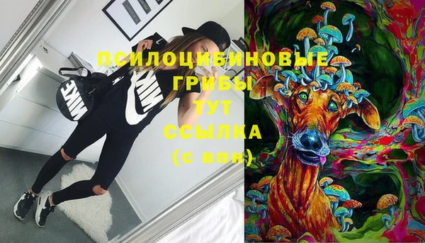 прущие крисы Балахна